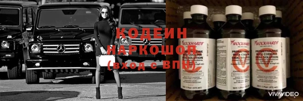 индика Беломорск