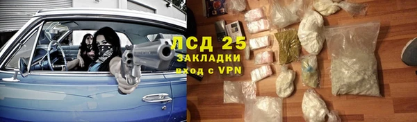 прущие грибы Белокуриха