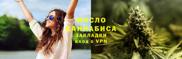 индика Беломорск