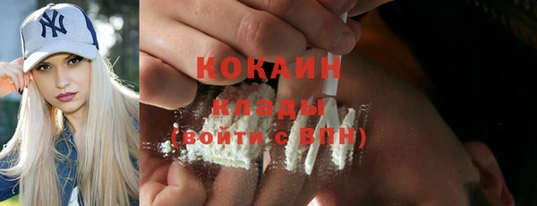 прущие грибы Белокуриха