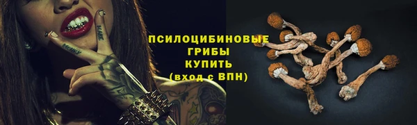 ГАЛЛЮЦИНОГЕННЫЕ ГРИБЫ Белоозёрский
