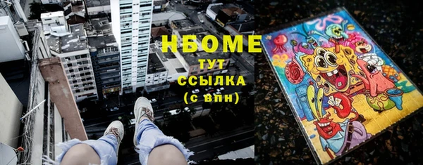 индика Беломорск