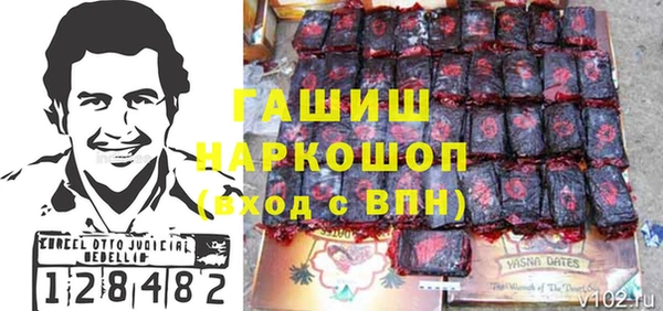 индика Беломорск