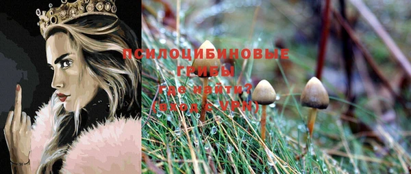 прущий лед Балабаново