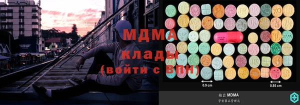индика Беломорск