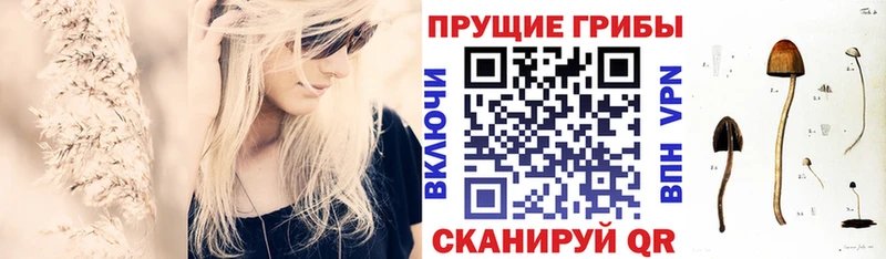 Галлюциногенные грибы MAGIC MUSHROOMS  Кондопога 